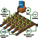 Odkapávání zalévání pro skleníky z barelu to udělat sami